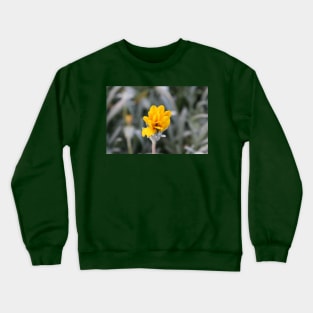 Yellow Flower Close-Up Photo Crewneck Sweatshirt